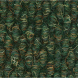 Spruce